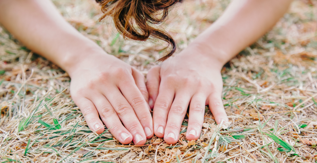 Grounding Set to Surge: Why 200% More People Will Embrace Earthing by 2029